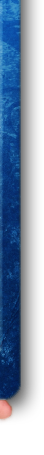 ���̃r�f�I�T�C�g